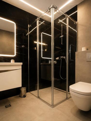a bathroom with a shower and a toilet at Hotel Luka's in Berane