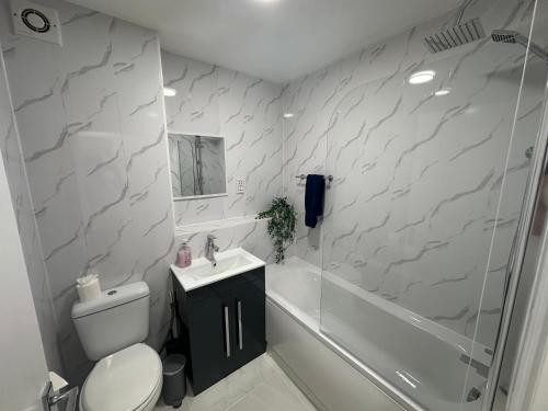 a bathroom with a toilet and a sink and a shower at Spacious 1bed Apartment Close To Town in Ifield