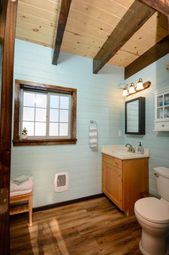 a bathroom with a toilet and a sink and a window at Homer Spit View Cabins - The Cottage in Homer