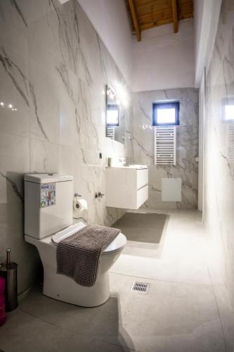 a bathroom with a toilet and a sink at Αριάδνη in Archanes