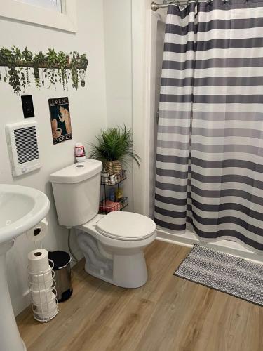 a bathroom with a toilet and a shower curtain at Cabin Experience near all in Wilkes-Barre