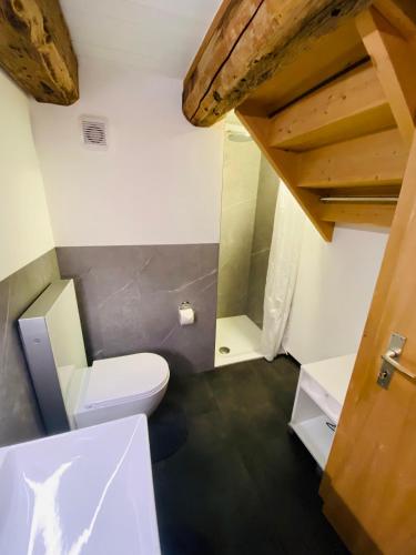 a small bathroom with a toilet and a shower at Chesa Margadant in Zuoz