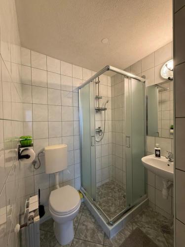 a bathroom with a shower and a toilet and a sink at U Hajduka in Murzasichle