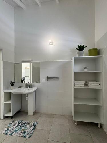 a bathroom with a sink and a mirror at Tropical Lodge in Petit-Bourg