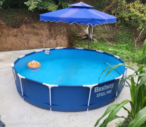 a small blue swimming pool with an umbrella at cottages house in Namlisevi