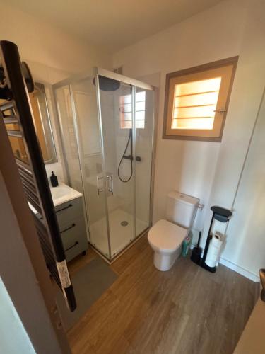 a bathroom with a shower and a toilet and a sink at 423 Résidence Aphrodite naturiste in Leucate-Plage