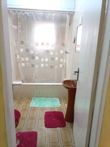 a bathroom with a shower and a toilet and a sink at Pousada Aconchego dos Puris in Resende