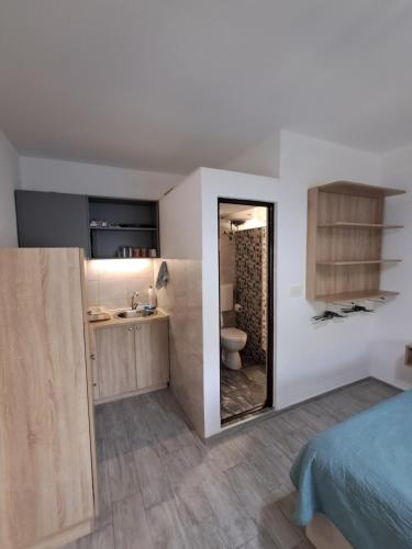 a bedroom with a bathroom with a toilet and a sink at Apartmani Račeta in Kotor