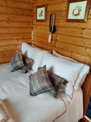 a bed in a log cabin with pillows on it at Emili Fois in Tore