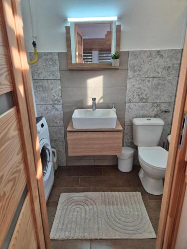 a bathroom with a sink and a toilet and a mirror at Balatoni Horizont Vendégház in Balatonakarattya