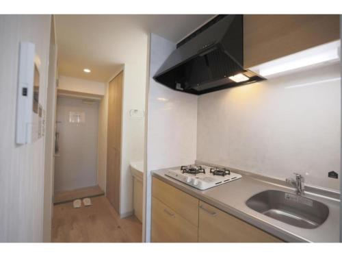 Seiryu Tsutenkaku - Vacation STAY 22158