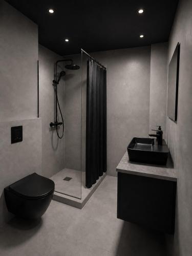 a bathroom with a shower and a toilet and a sink at 4SEASONS - Amber Spring Suite in Aalborg