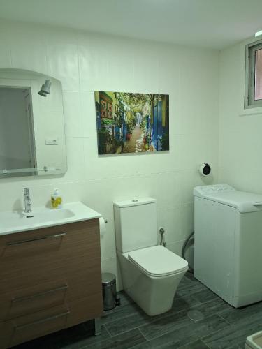 a bathroom with a toilet and a sink at Casa YaraMaya in Carballino