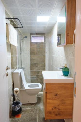 a bathroom with a toilet and a sink at Ekin Assos in Sokakagzi