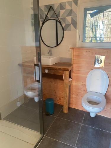 un bagno con WC, lavandino e specchio di Le Mas Comprés !! ad Avèze