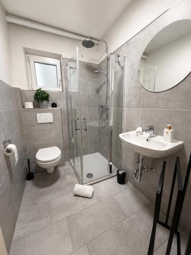 a bathroom with a shower and a toilet and a sink at Altmühl Hideaway Apartment 1 in Treuchtlingen