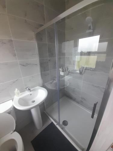 a bathroom with a shower and a sink and a toilet at The Old Cowhouse in Falleens