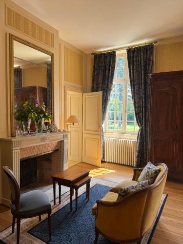 a living room with a fireplace and a mirror at Château de Puchesse in Sandillon