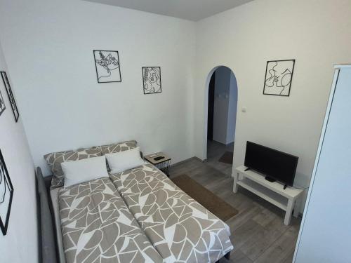 Masal Studio Apartment Center Rijeka