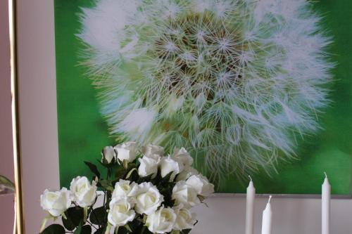 Gallery image of Bio Gesundheitshof Daxinger in Mondsee