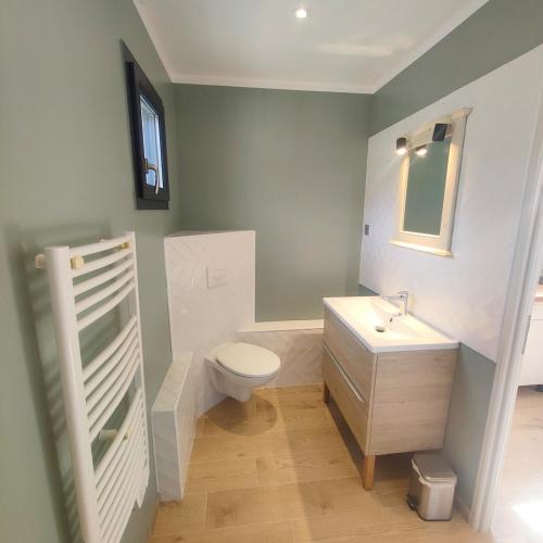 a bathroom with a toilet and a sink at Gite Aubanel' Drôme Provencale in Saint-Auban-sur-Ouvèze