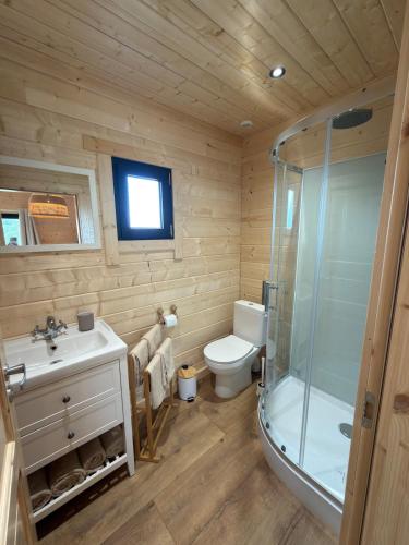 a bathroom with a toilet and a sink and a shower at Chalet de Saint Martin in Roquefort-des-Corbières