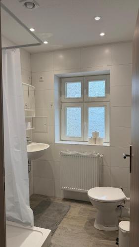 a bathroom with a toilet and a sink and a window at FeWo Augusta in Neustrelitz
