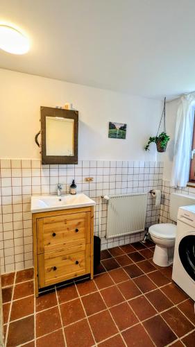 a bathroom with a sink and a toilet and a mirror at Ferienwohnung Lütt Quickborn in Quickborn