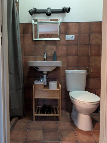 a bathroom with a toilet and a sink at Maison Bátori Tarczal in Tarcal