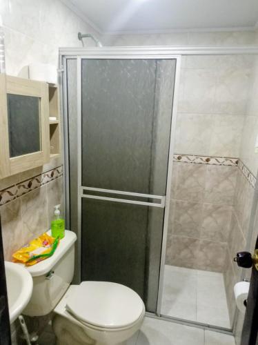 a bathroom with a shower and a toilet at Ginebramagico in Ginebra