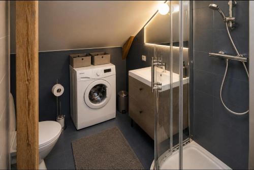 a bathroom with a toilet a sink and a washing machine at Historic Haven in Riga