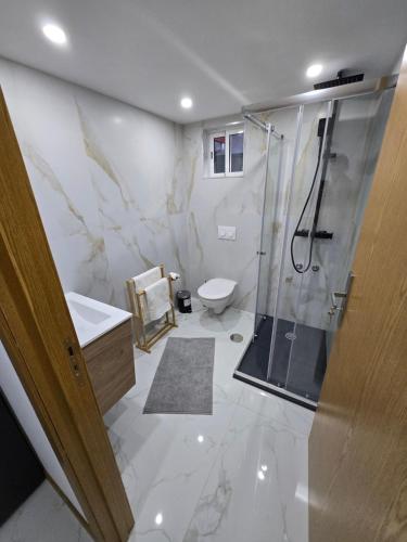 a bathroom with a shower and a toilet and a sink at Boeing AL Q1 in Moreira