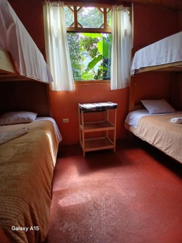 a bedroom with two bunk beds and a window at Etrita Inkas Hostel in Sahuayacu