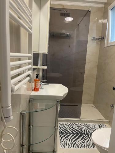 a bathroom with a shower and a sink and a shower at Piad Apartman in Bar