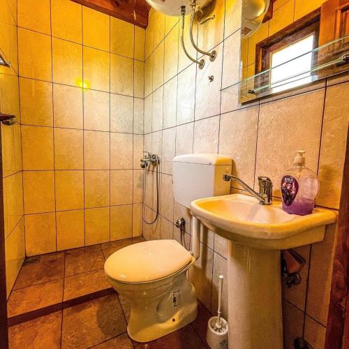 a small bathroom with a toilet and a sink at Sara Riverside Cottage in Ulcinj