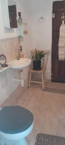 a bathroom with a sink and a toilet at Recanto da Serra e camping in Itamonte
