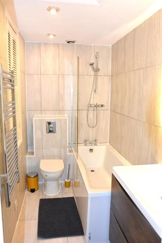 a bathroom with a shower and a toilet and a sink at Magic House- London in Plumstead