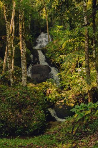 a waterfall in the middle of a forest at Pousada Toca da Onça in Gonçalves