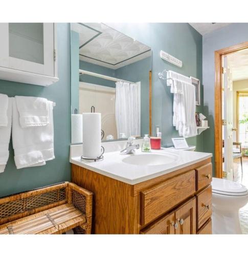 a bathroom with a sink and a toilet and a mirror at Bourbon Roost in Saint Francis