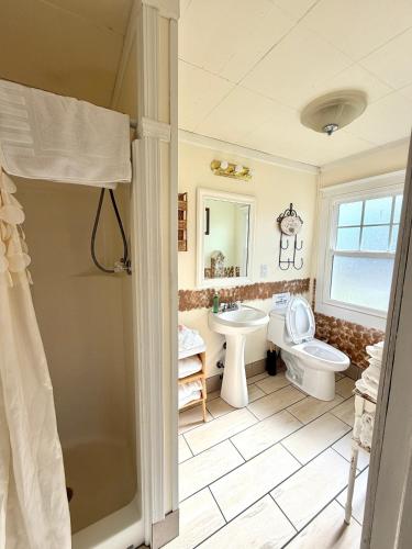 a bathroom with a toilet and a sink and a shower at Foster Lake Inn in Sweet Home