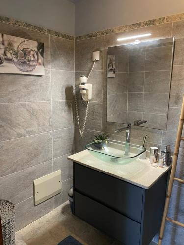 a bathroom with a sink and a mirror at LES JOYAUX DE BALATA in Saint-Joseph