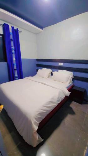 a large bed in a room with blue walls at Sunrise Lodging in Douala