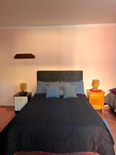 a bedroom with a large black bed with blue pillows at Duna Blanca I in Fiambalá