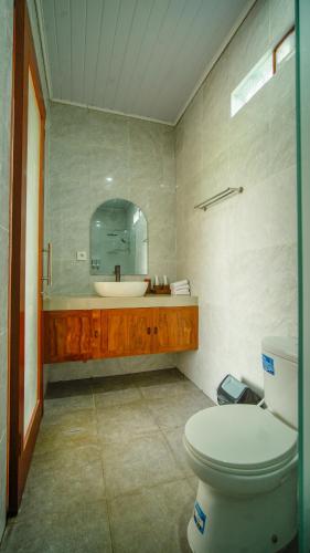 a bathroom with a toilet and a sink with a mirror at Bale Sidi House Ubud in Ubud