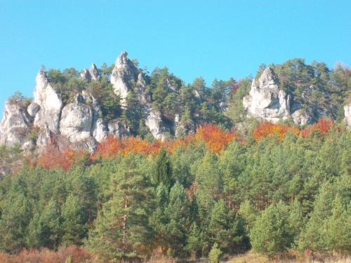 a mountain with trees and rocks in the background at Apartmány Súľov 183 in Súľov