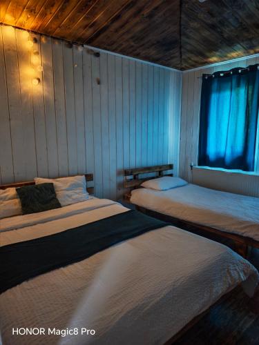 a bedroom with two beds and a window at Cabana Denny in Mărişel