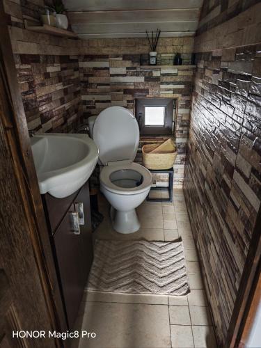 a small bathroom with a toilet and a sink at Cabana Denny in Mărişel