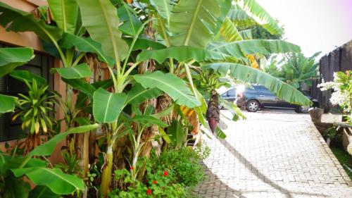 Taman di luar Hotel Niro