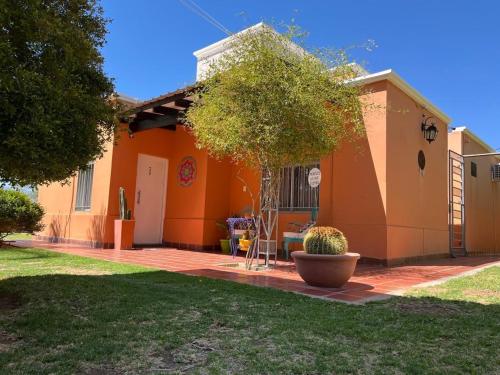 an orange house with a patio in the yard at Cepas del Valle - cabañas y suites in Chilecito