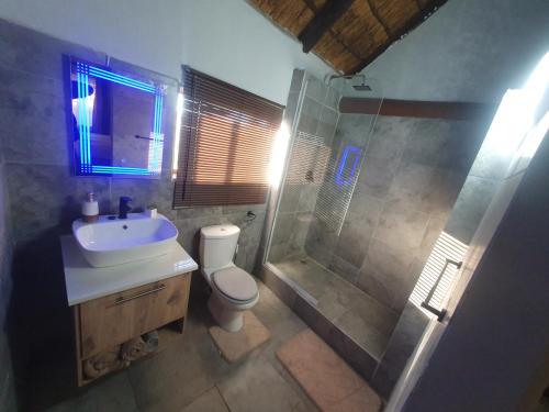 a bathroom with a shower and a toilet and a sink at Blu light lodge in Randfontein